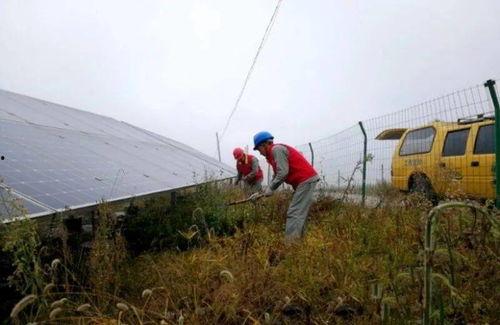 河石坝吃瓜群众事件真相,揭开真相背后的真相