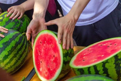 广西学校吃瓜最新事件,揭秘校园食品安全风波背后的真相”