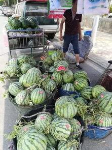 长春宽城吃瓜事件,一场网络热议背后的真相与反思