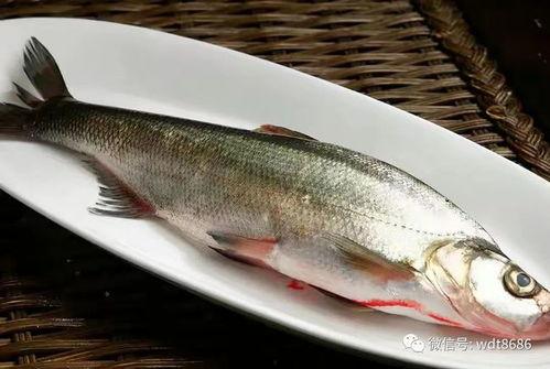 面鱼鱼吃瓜事件后续,真相大白，后续发展引关注