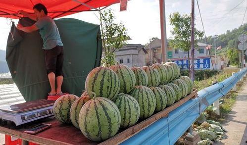 盛世豪庭吃瓜事件真相揭秘,揭秘背后真相与争议