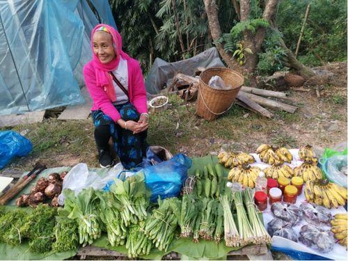 云南公园吃瓜刺激事件,一场意外引发的公共讨论风暴