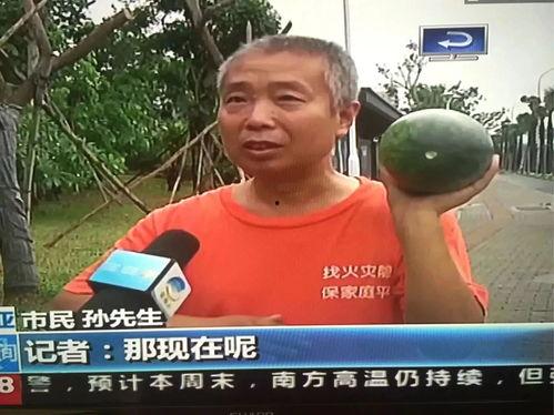 最新最热门吃瓜事件视频,视频曝光，真相令人震惊！