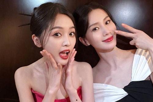 明星吃瓜热门事件真相揭秘,真相背后的真相