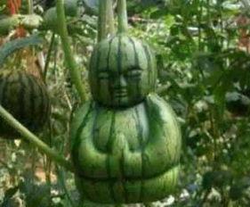 邯郸吃瓜八卦事件真相