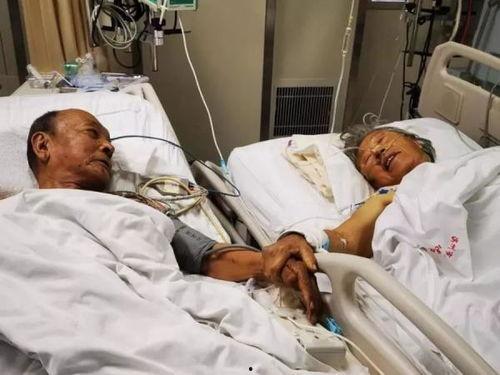 滨州吃瓜住院事件真相揭秘