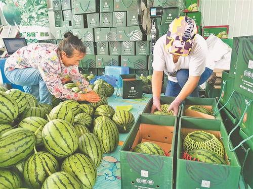 近期热门吃瓜事件柳州,揭秘近期热门吃瓜事件背后的真相