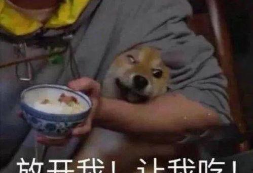 近一周吃瓜事件