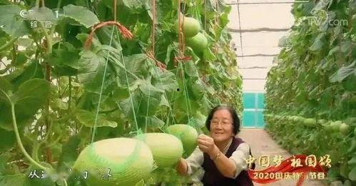 吃瓜最新事件 广西,揭秘事件背后惊人真相！”