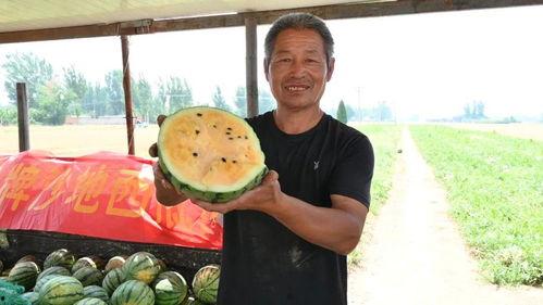 德宏最近吃瓜事件视频最新,揭秘背后真相与网络舆论风暴