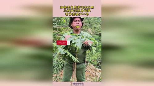 越南老表吃瓜事件是真的吗