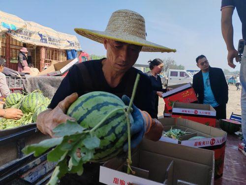 南渠河村吃瓜事件,一场引发热议的乡村奇闻