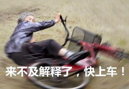 校园老司机吃瓜事件