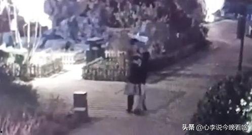 勉县吃瓜事件真相视频,揭秘真相背后的惊人内幕