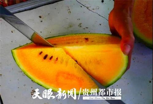 贵阳娱乐吃瓜事件真相是真的吗