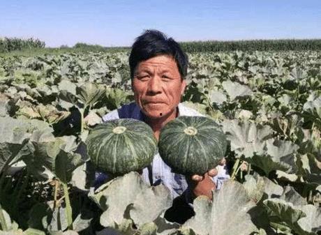 昌瑞绿洲吃瓜事件,一场引发热议的社区冲突纪实