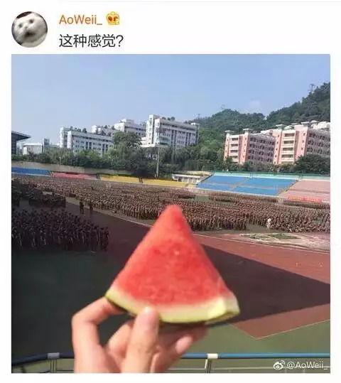 军训凉亭吃瓜事件,校园风波背后的清凉一夏